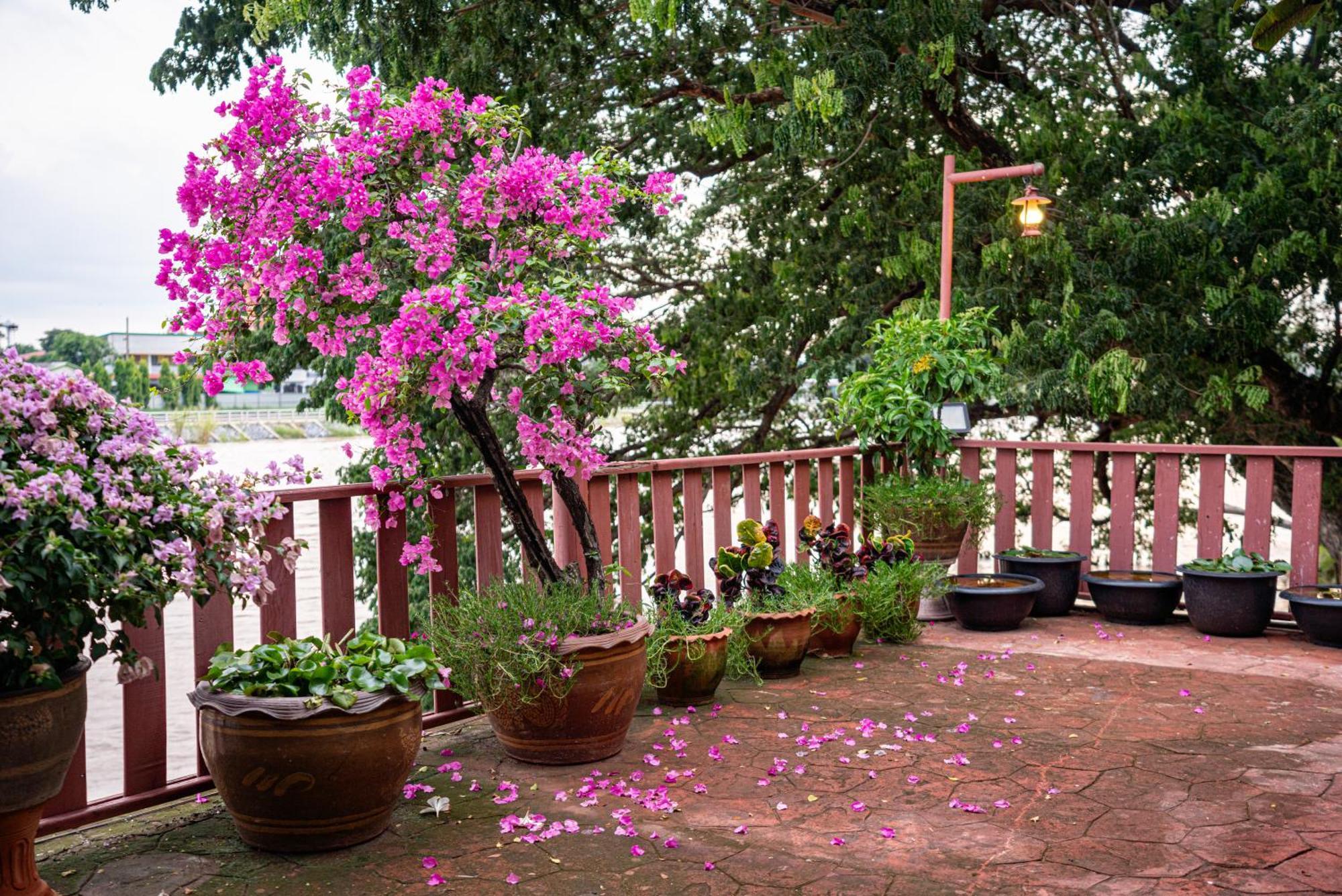 Athithara Homestay Αγιουτάγια Εξωτερικό φωτογραφία